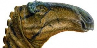 Jeyawati Rugoculus, Nueva Especie de Dinosaurio Herbívoro