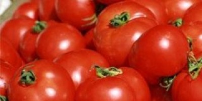 El tomate subió 150% en menos de una semana
